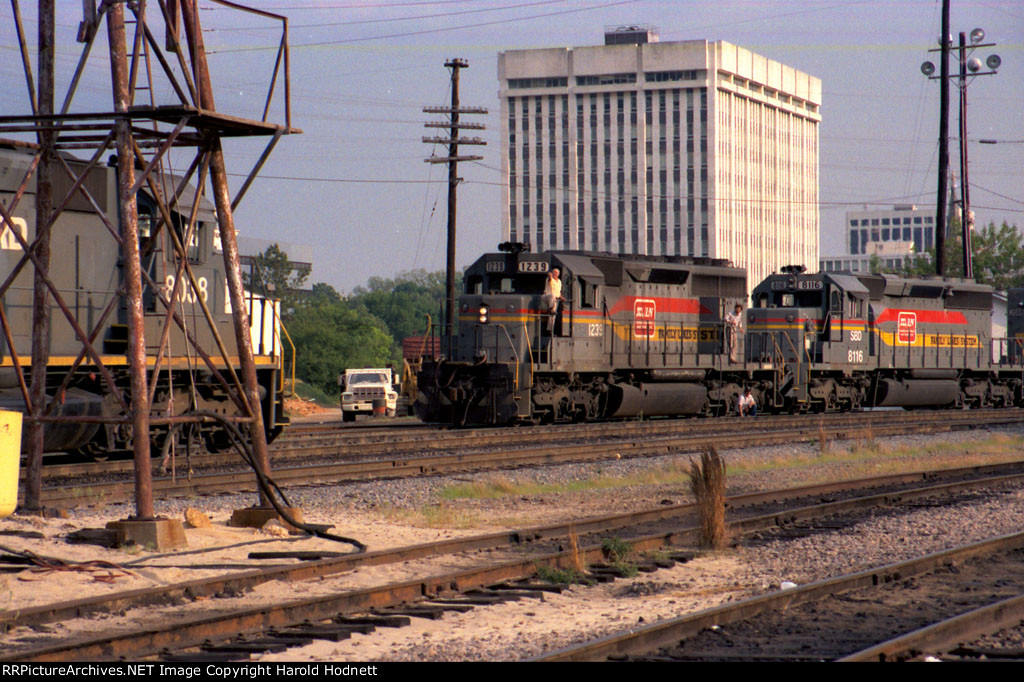 North and southbound pig trains meet 